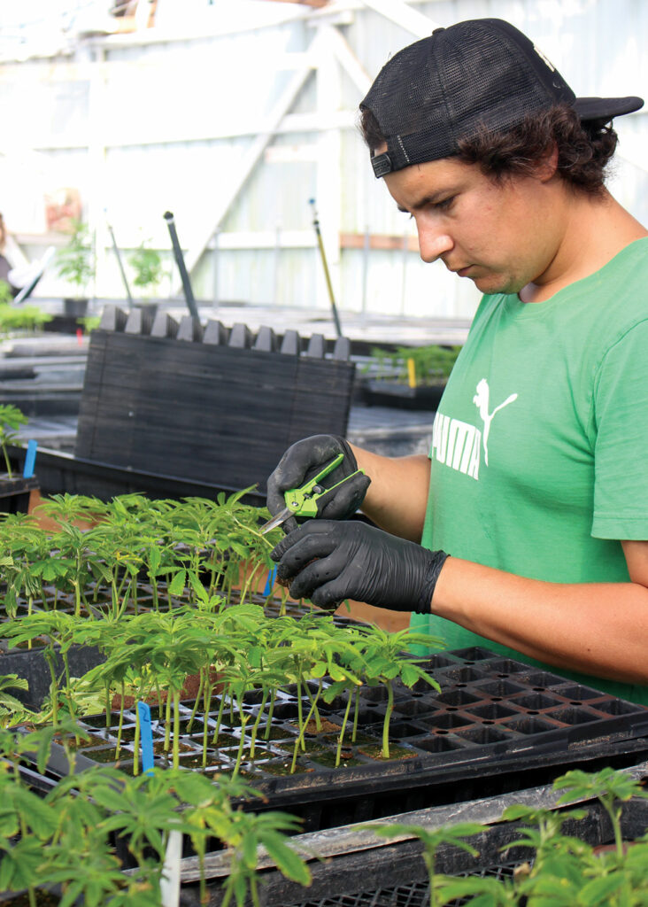 salt earth nursery grower producer pajaro