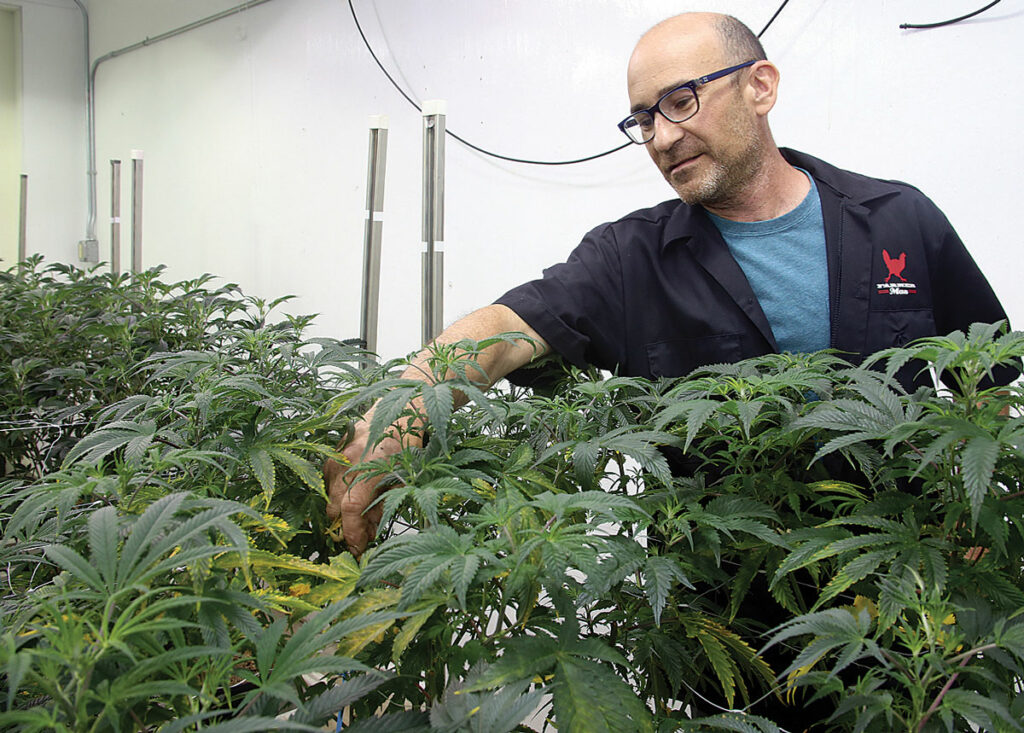 max cain grower producer farmer