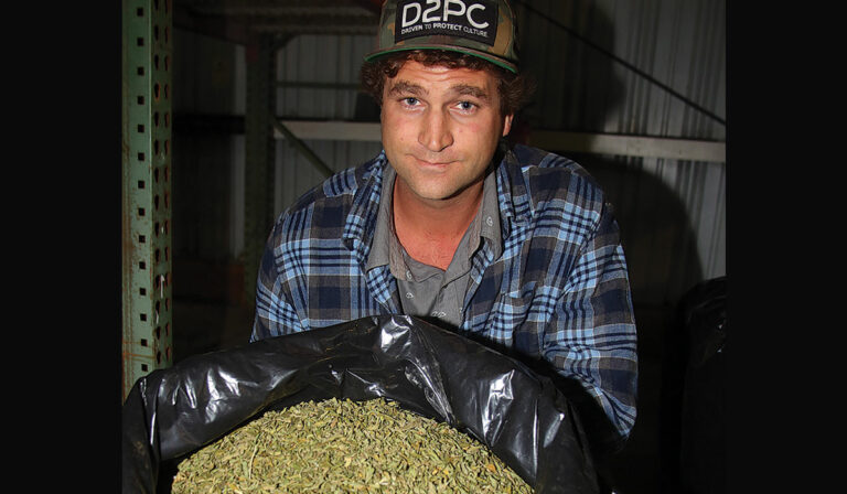 Cannabis company rides changes into second decade