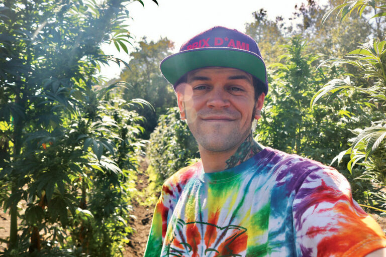 Artist Dabs in Canna-Design