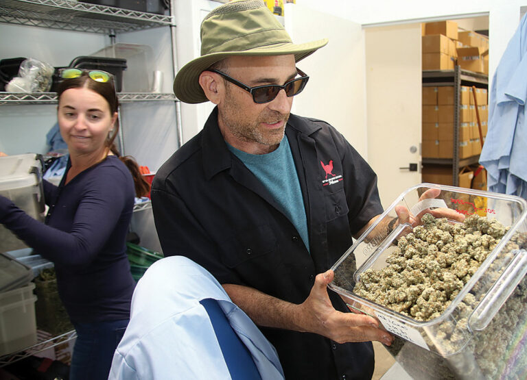 Farmer Max a full-service cannabis business
