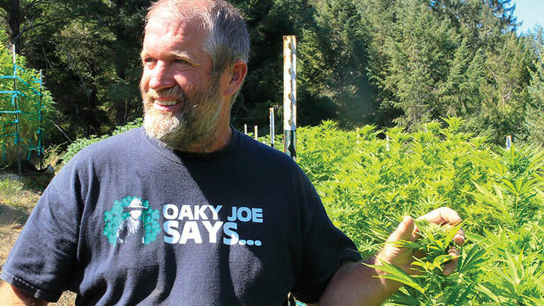 How the Emerald Triangle Became A Revered Cannabis Growing Area