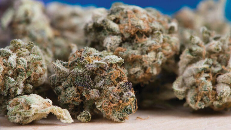 Twin City Tokes: Minnesota is no barometer for cannabis legalization