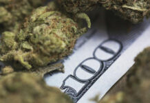 A Great Idea: Emerald New Deal gives back