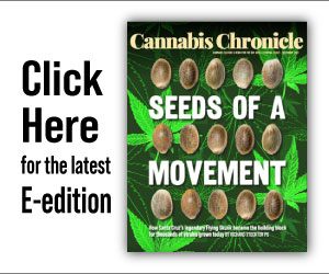 cannabis chronicle e-edition
