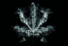 When the Smoke Clears: Despite the best efforts of pot researchers, we don’t yet have a lot of answers