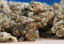 Times Are A-Changin’: More Americans have a positive attitude towards cannabis than ever before