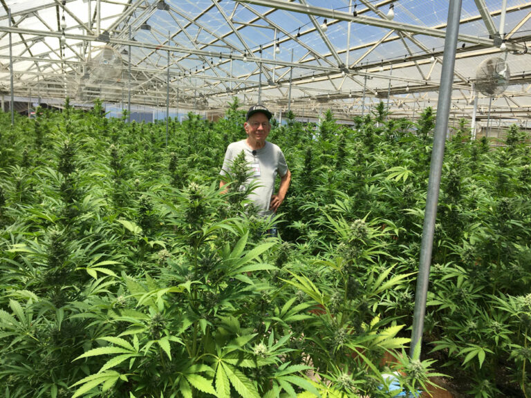 A Day on the Farm