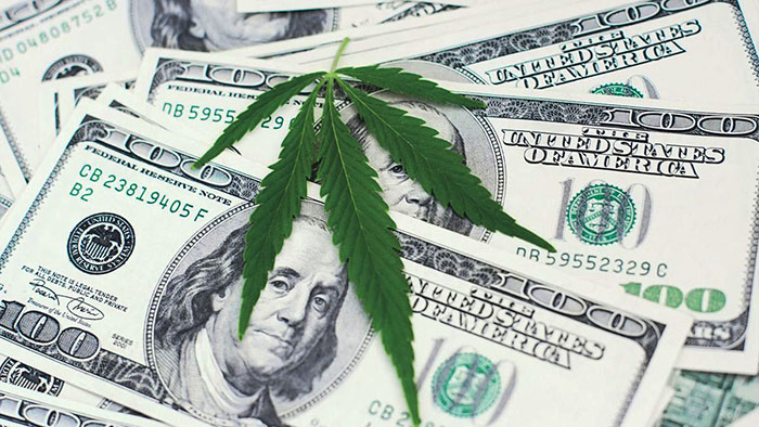 Reefer Madness Redux